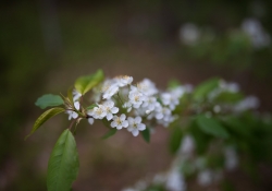 19-Final-Image-3