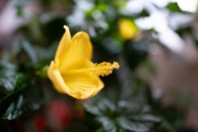 a7R3-Samples-2
