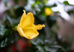 a7R3-Samples-2