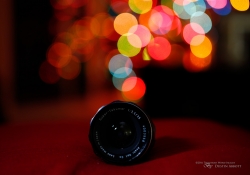 Tamron Bokeh-2