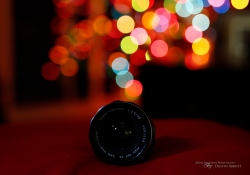 Tamron Bokeh-3