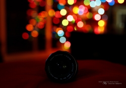 Tamron Bokeh-4
