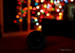 Tamron Bokeh-5