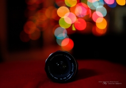Tamron Bokeh