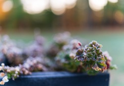 31-Bokeh-4
