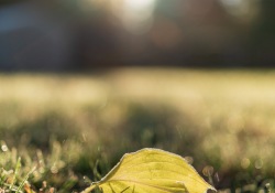 31-Bokeh-5