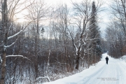 The Winter Runner