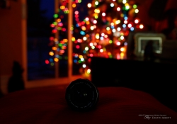 Bokeh-5