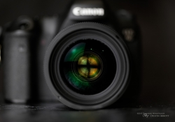 Product Shots-23