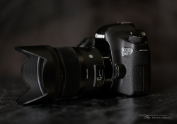 Product Shots-25