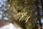 43-GALLERY-8-of-11