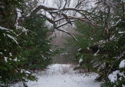 36-Aberrations