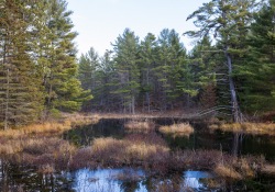 29-Landscapes-3