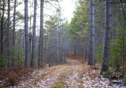 29-Landscapes-5