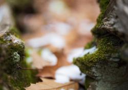 32-Bokeh-5