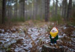32-Bokeh-8