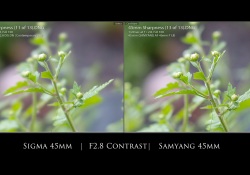 21-F28-Contrast