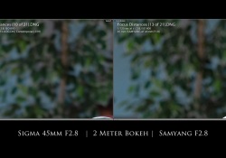 24-Samyang-Bokeh-F28