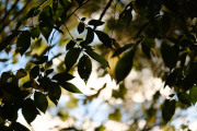 43-Gallery-13