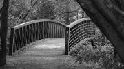 43-Gallery-14