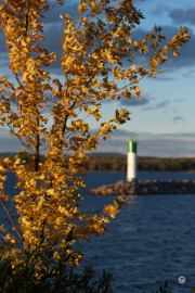 43-Gallery-19