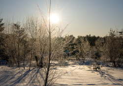 40-Flare-1 40-Flare-1