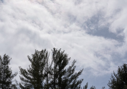 42-Flare-2