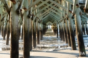 Sigma-56-Myrtle-Beach-13