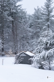 Winter-Wonderland-2