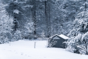 Winter-Wonderland-3