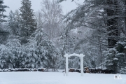 Winter-Wonderland