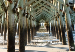 20-Landscapes-2