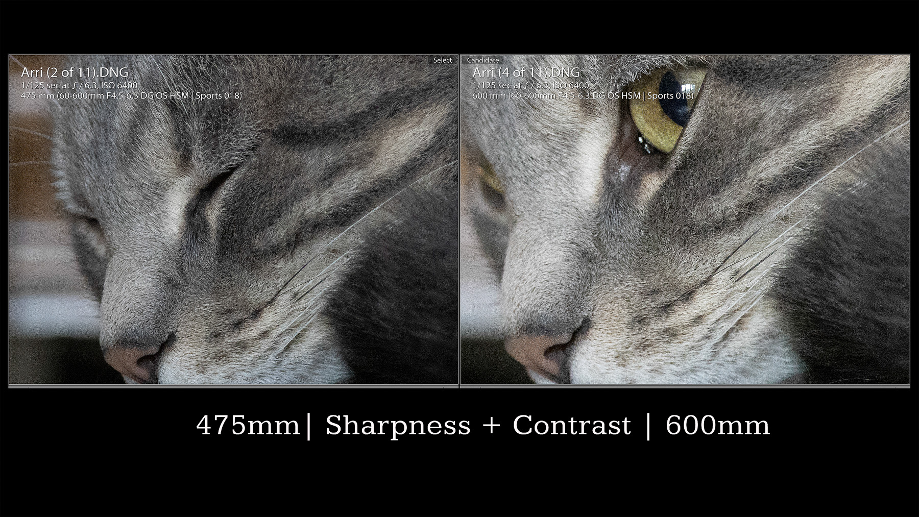 44 Sharpness comparison