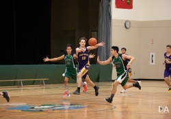 20 Basketball