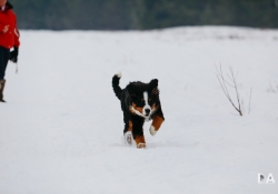21 Tracking Canon-19