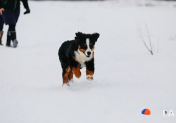 22 Good Action Shots