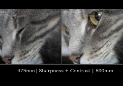 44 Sharpness comparison