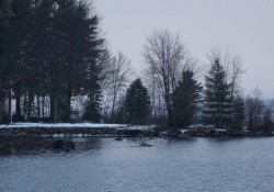 38-Landscape-2