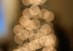 48-Specular-1