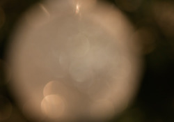 48-Specular-3