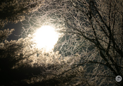 49-Flare-3
