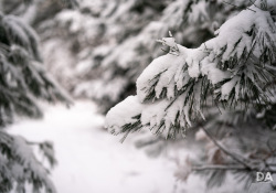 34-Bokeh-Samples-2