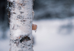 34-Bokeh-Samples