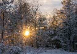 35-Flare-6