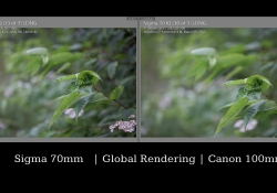 Rendering Comparison 1