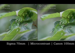 Rendering Comparison 2