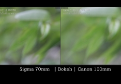 Rendering Comparison 3