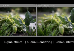 Rendering Comparison 4