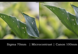 Rendering Comparison 5
