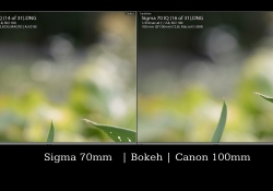 Rendering Comparison 6